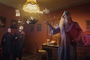 Приключения Гарри Приключения Гарри