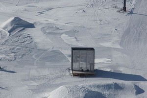 Архприют