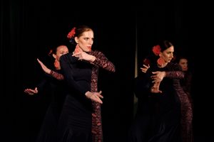 Costa Del Flamenco Costa Del Flamenco