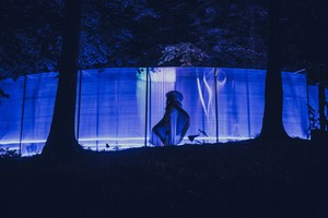 Midsummer Night's Dream