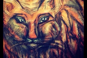 Такая разная Африка