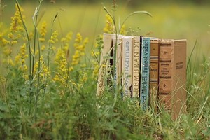 Книги в парках