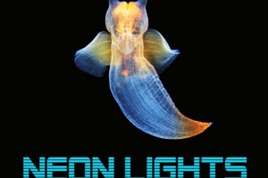 Neon Lights Neon Lights