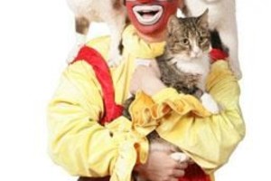 Cats-шоу