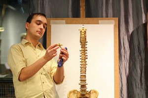 Лекция по пластической анатомии Лекция по пластической анатомии