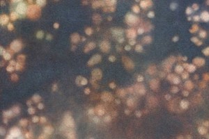 Дмитрий Чеглаков — «Trip1» (sound-art, i