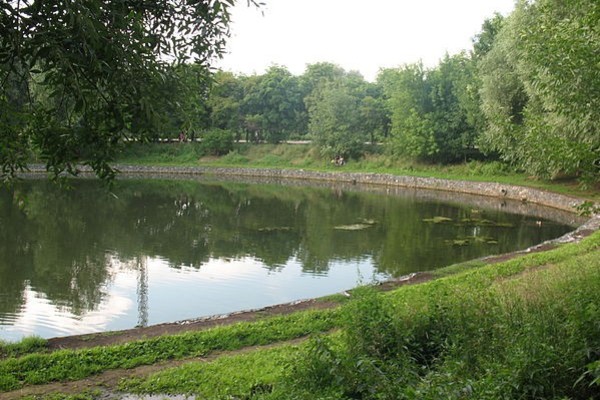 Садки