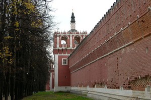 Донской монастырь