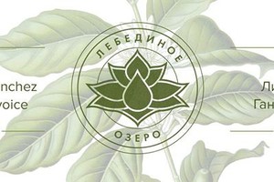 #неверендингстори ❖ Сергей Санчес ◘ Васи #неверендингстори ❖ Сергей Санчес ◘ Васи