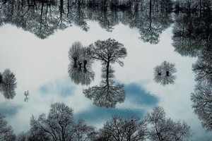 Курс «Основы фотографии». Полный курс Курс «Основы фотографии». Полный курс