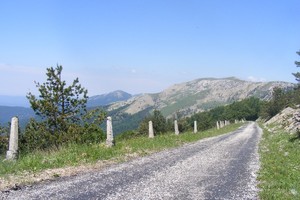 Романовская дорога