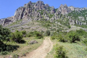 Алустон Алустон