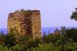 Алустон Алустон