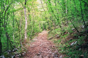 Чёртова лестница