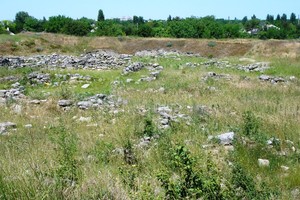 Мирмекий Мирмекий
