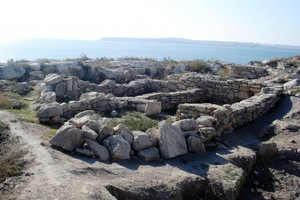 Мирмекий Мирмекий