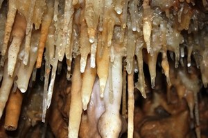 Геофизическая Геофизическая