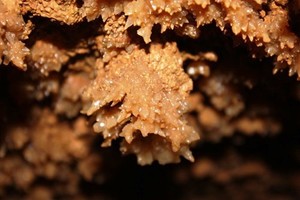 Геофизическая Геофизическая