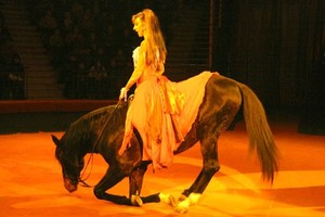 Тезикова