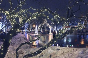 Новый год в парке «Красная пресня»