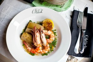Oldich Dress & Drink